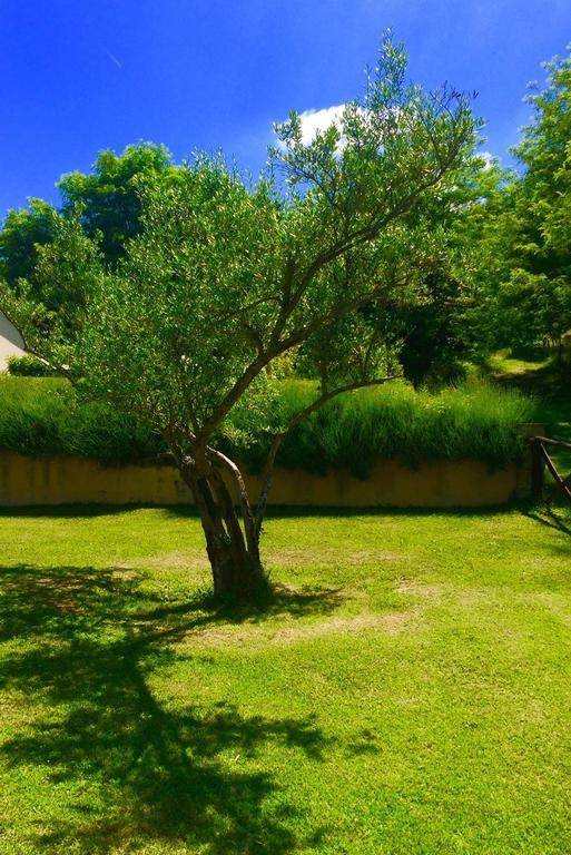 Agriturismo Acero Rosso Civitella di Romagna ภายนอก รูปภาพ